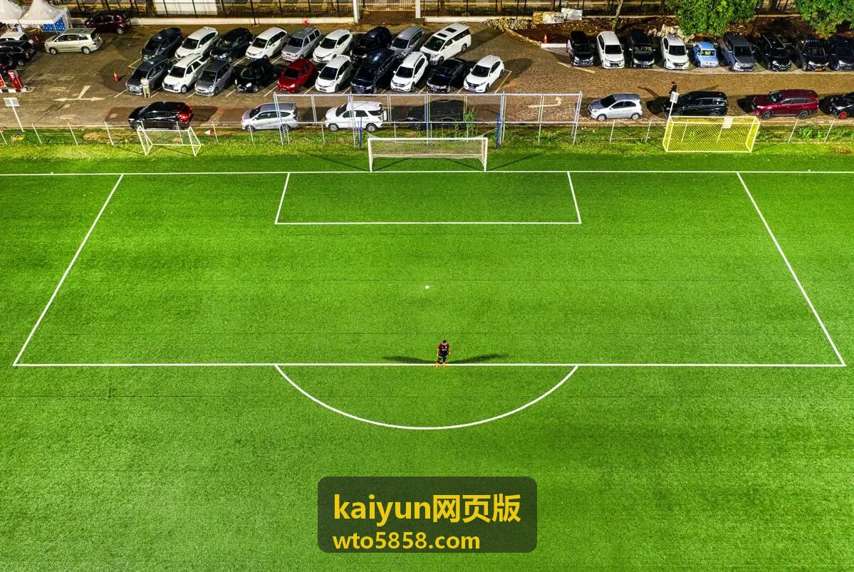 kaiyun网页版 冒险电影 逐光者 封面